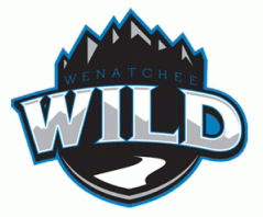 wenatchee wild 2008-pres secondary logo iron on heat transfer